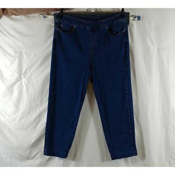 Allison Daley Women's Blue Straight Leg Mid Rise Designer Jeans Plus Size 18 S - Picture 1 of 7